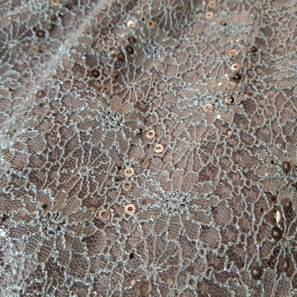 R&M Richards PLUS 14W EMPIRE Stretch Lace Satin Cocktail Party Dress Champagne - Picture 14 of 16